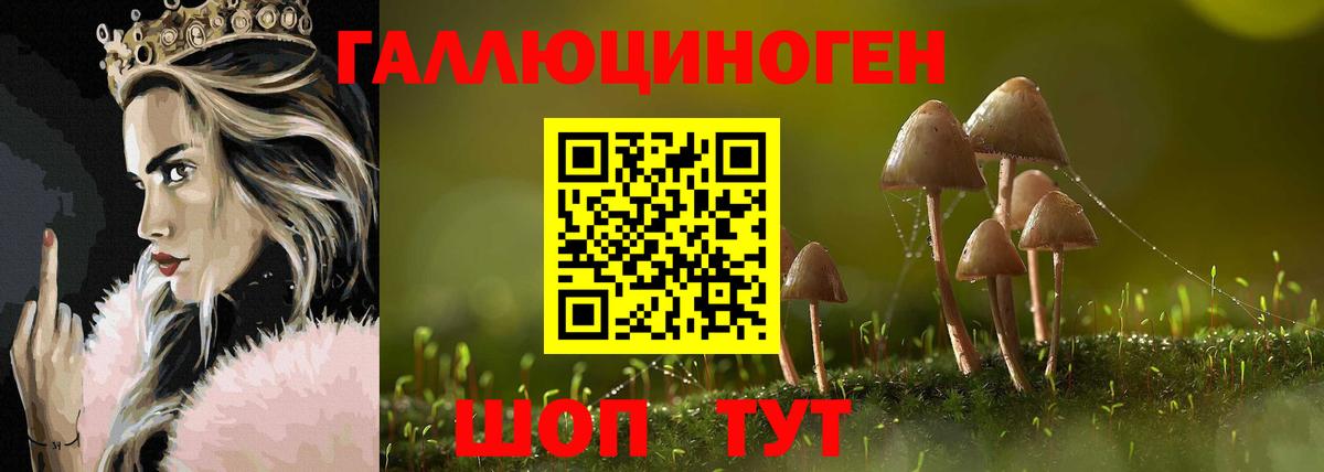 как найти наркотики  Галлюциногенные грибы ЛСД  Кудрово  Вход с VPN  Псилоцибиновые грибы ЛСД 